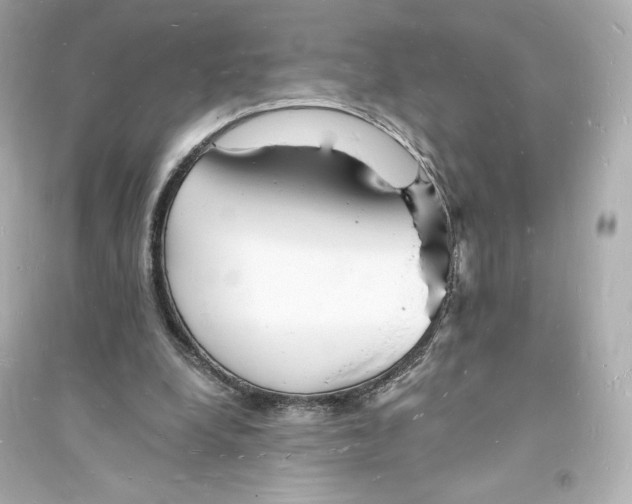 X0000093720248200711131020