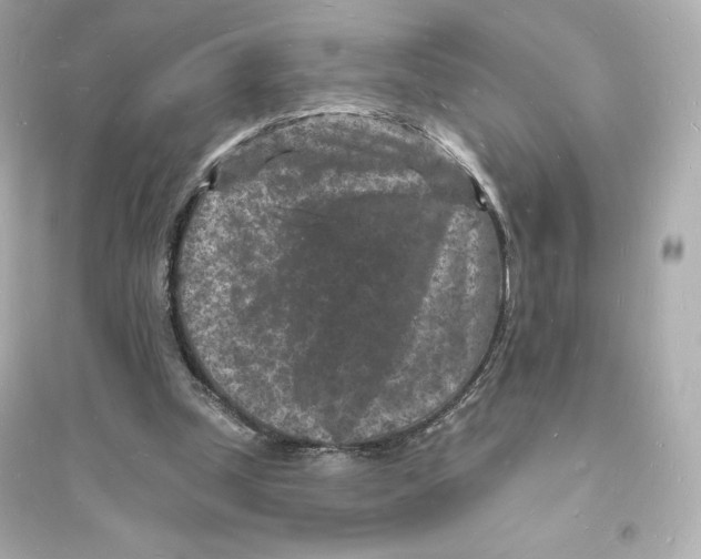 X0000093720249200711131020