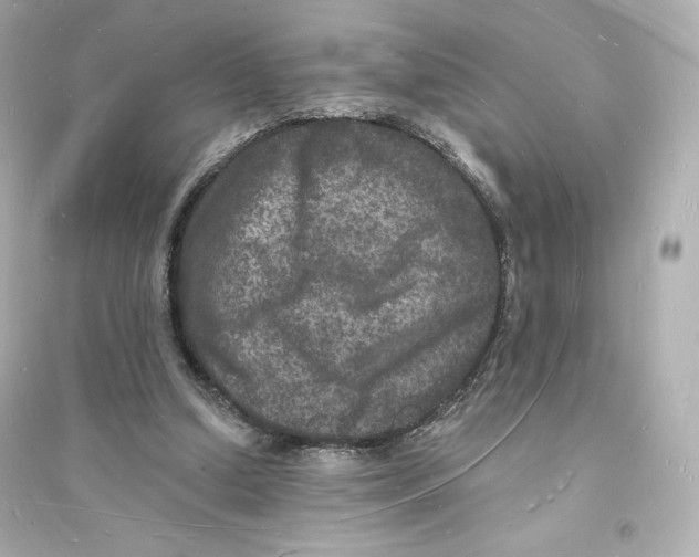 X0000093720250200711131020