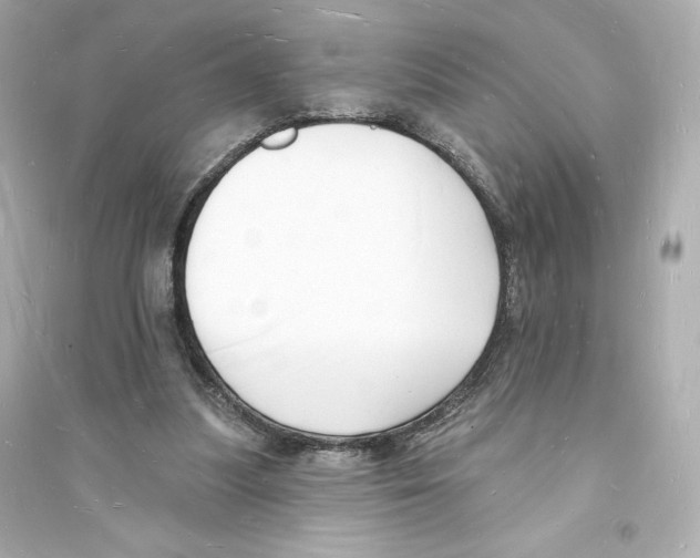 X0000093720251200711131020