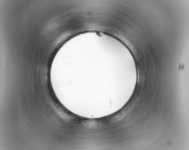 X0000093720253200711131020