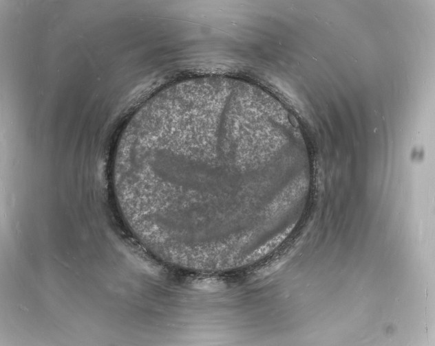 X0000093720258200711131021