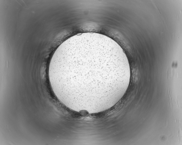 X0000093720259200711131021