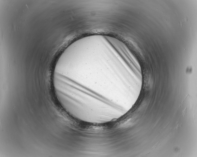 X0000093720260200711131021