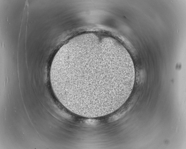 X0000093720261200711131021