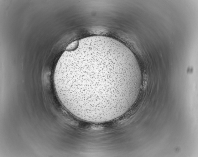 X0000093720263200711131021