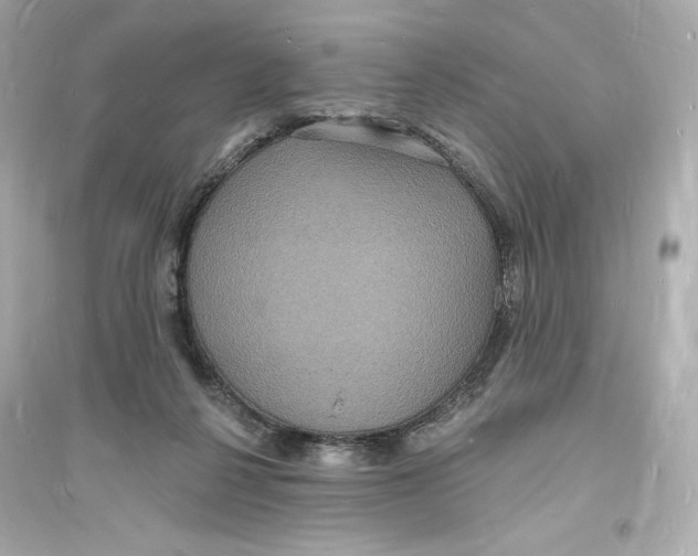 X0000093720264200711131021