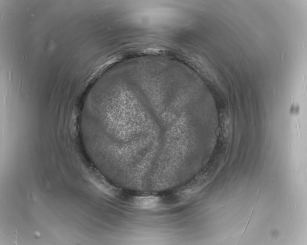 X0000093720266200711131021