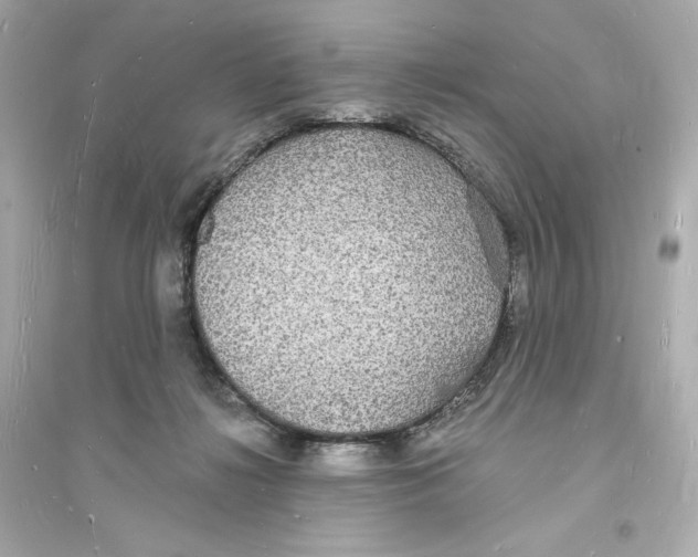 X0000093720268200711131021