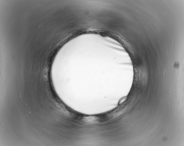 X0000093720269200711131021