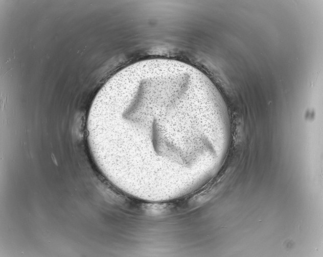 X0000093720273200711131021