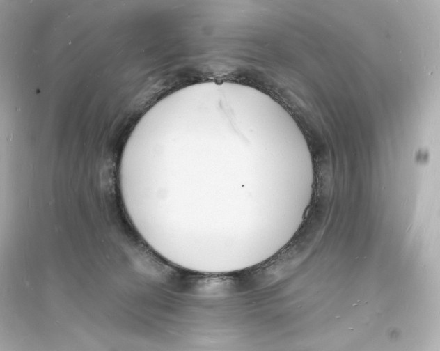 X0000093720274200711131021