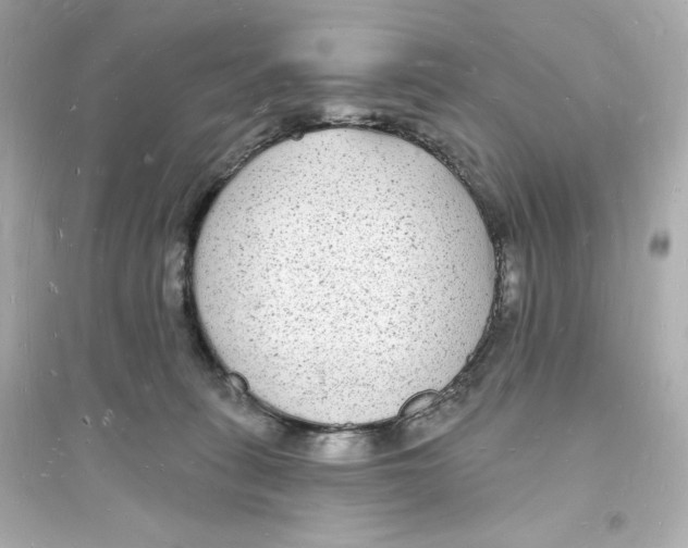 X0000093720275200711131021