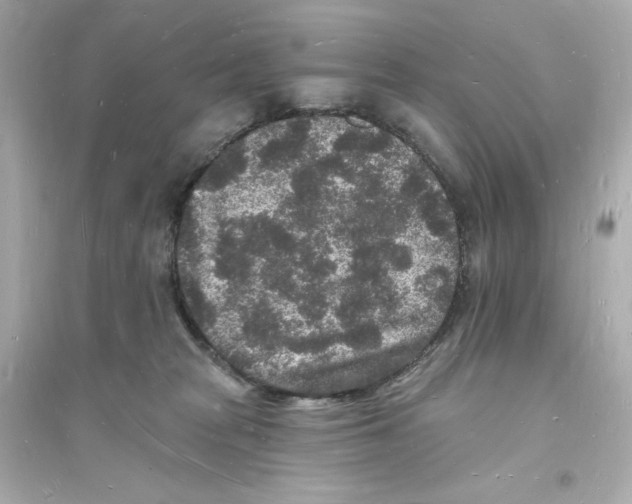 X0000093720277200711131021