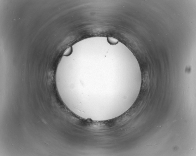 X0000093720278200711131021