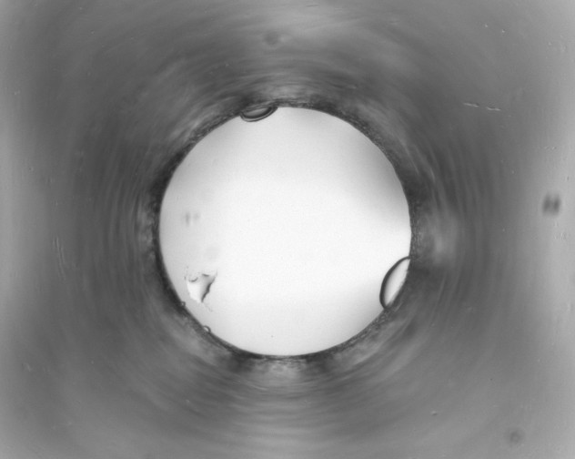 X0000093720282200711131021