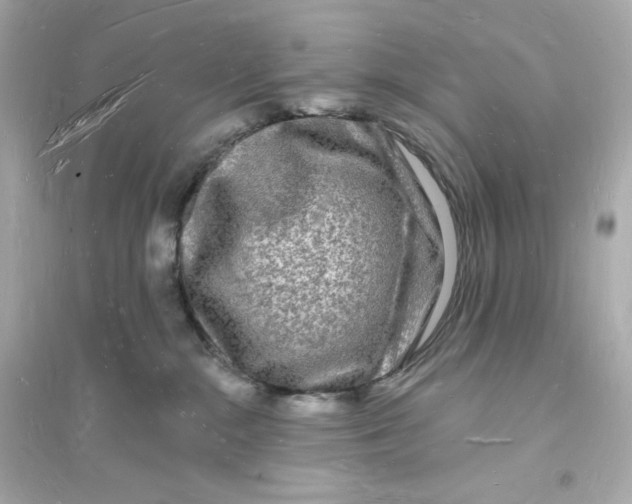 X0000093720284200711131021