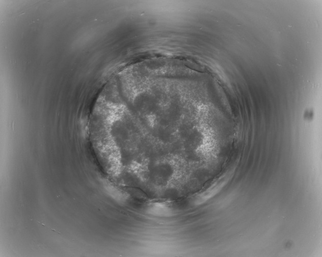 X0000093720285200711131021