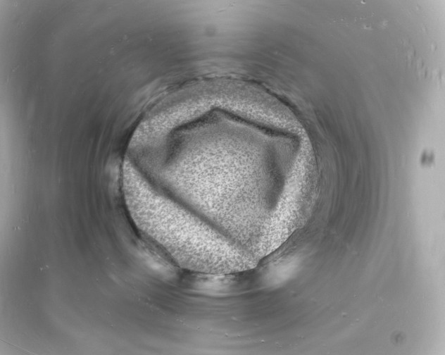 X0000093720288200711131021