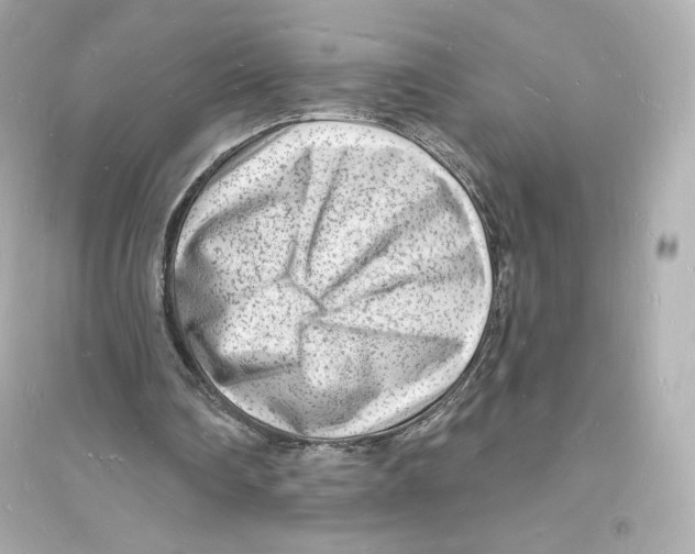 X0000093720290200711131020