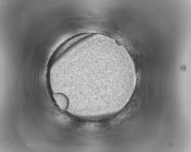 X0000093720292200711131020