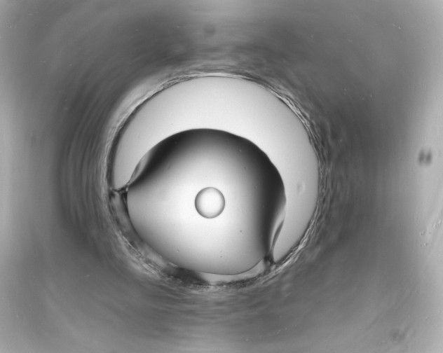 X0000093720293200711131020