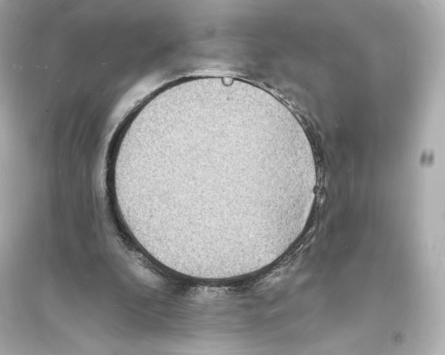 X0000093720296200711131020