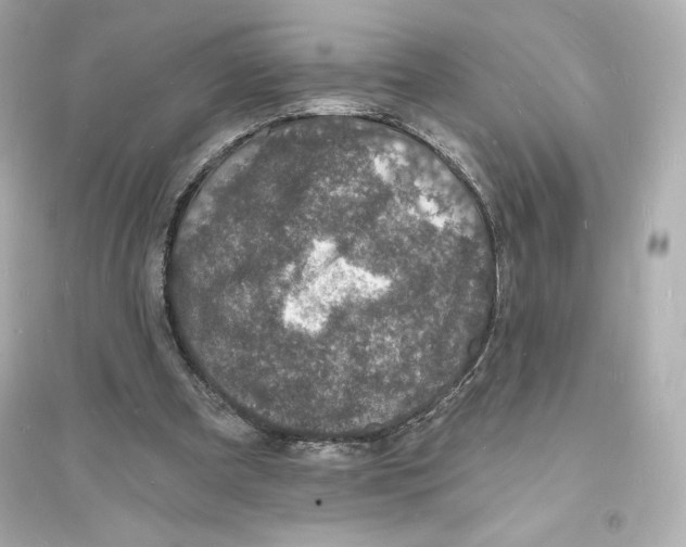 X0000093720297200711131020