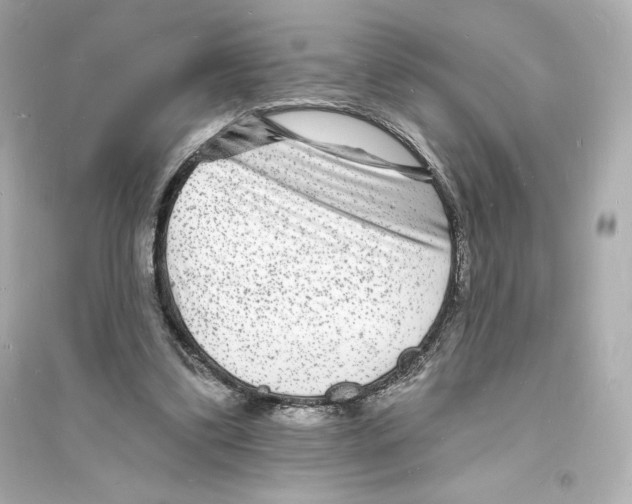 X0000093720299200711131020