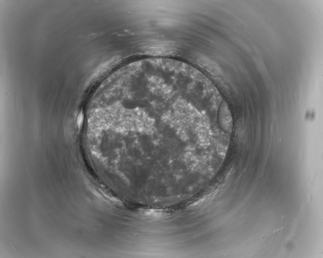 X0000093720303200711131020