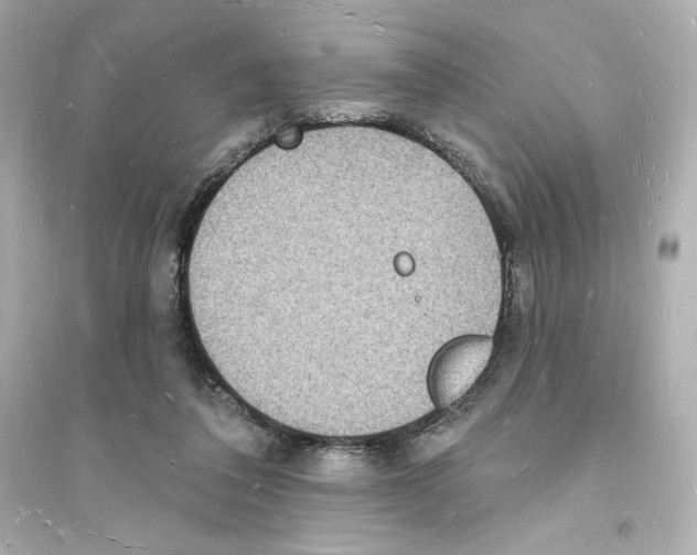 X0000093720308200711131020