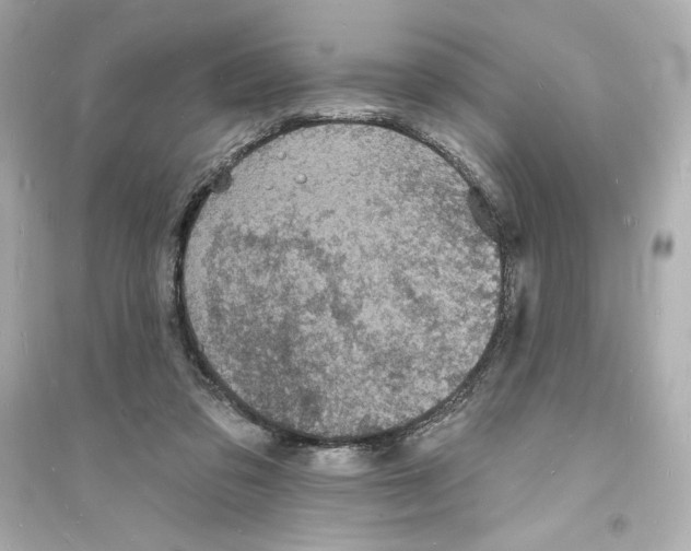 X0000093720309200711131020