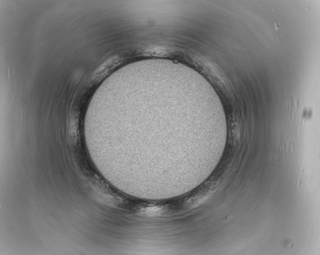 X0000093720312200711131020