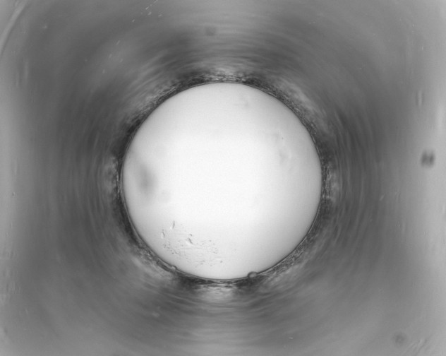 X0000093720318200711131020