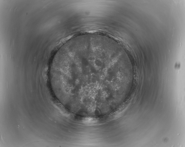 X0000093720319200711131020