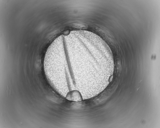 X0000093720320200711131020