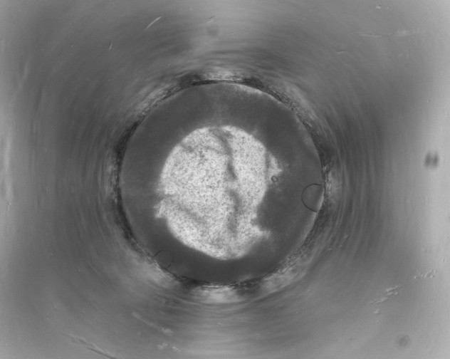 X0000093720322200711131020