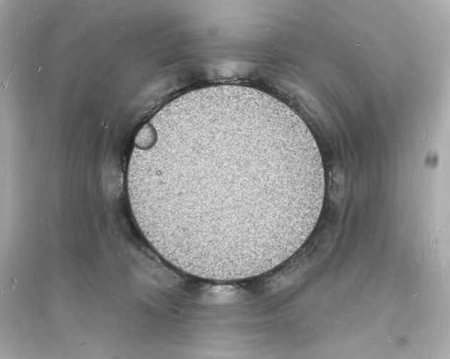 X0000093720324200711131020