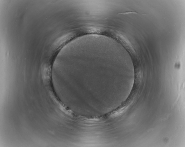 X0000093720325200711131020