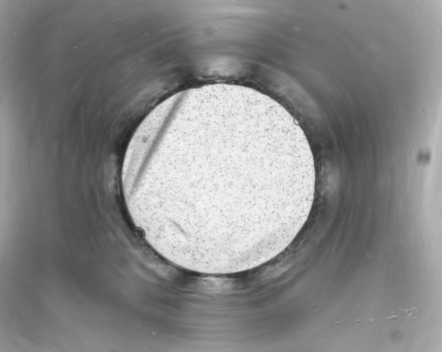 X0000093720328200711131020