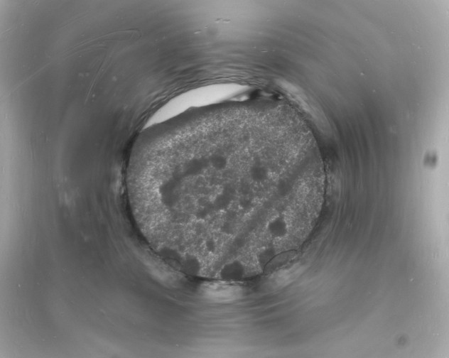 X0000093720331200711131020