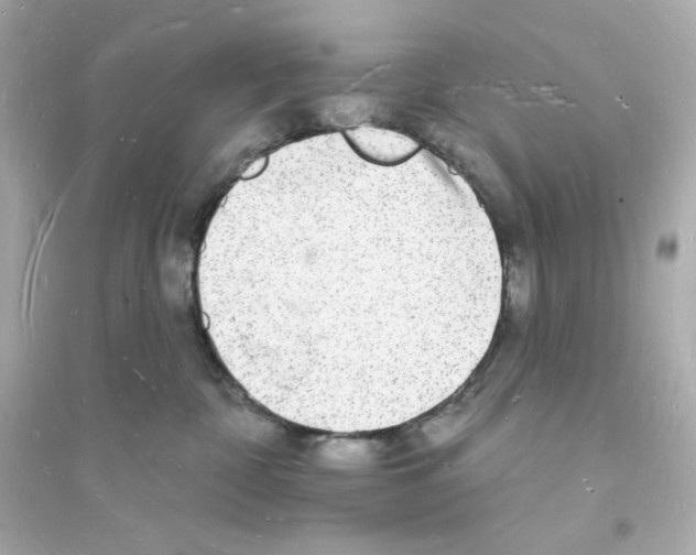 X0000093720332200711131020