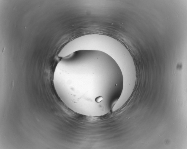 X0000093720333200711131020