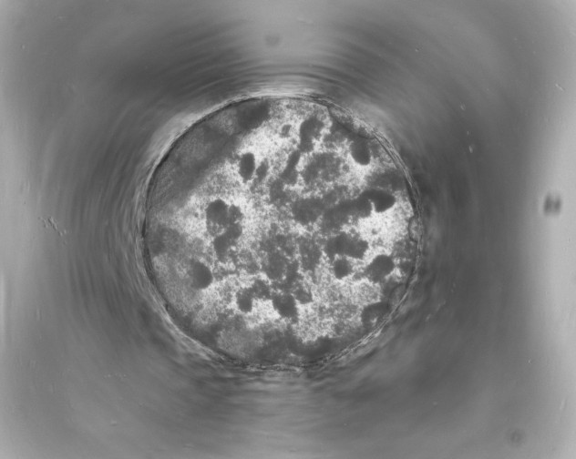 X0000093720337200711131019