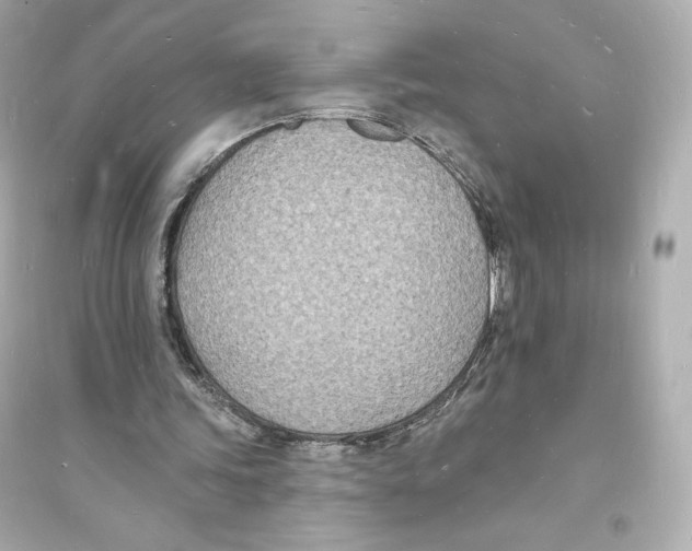 X0000093720339200711131019