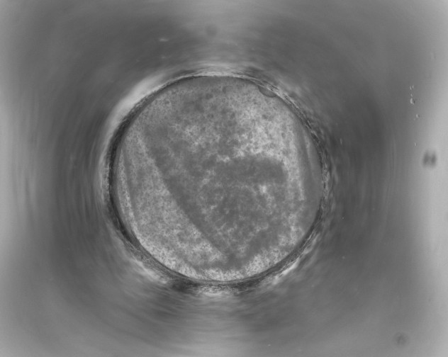 X0000093720343200711131019