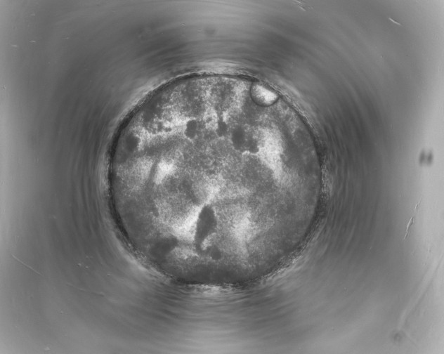 X0000093720347200711131019