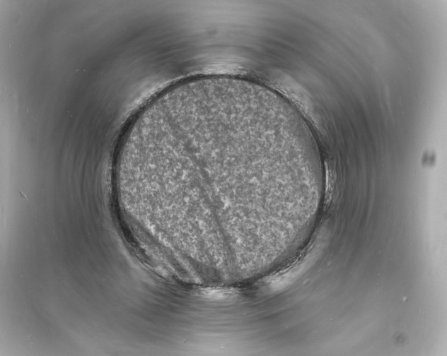 X0000093720348200711131019