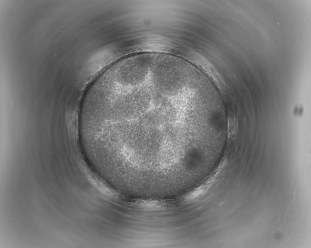 X0000093720349200711131019