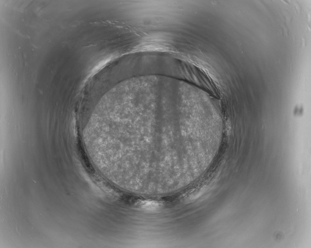 X0000093720352200711131019